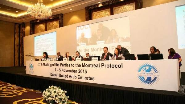 During the meeting
