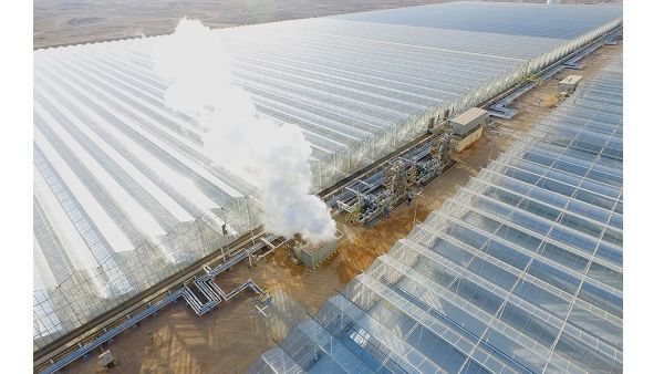 Miraah Solar Steam Miraah Solar Steam