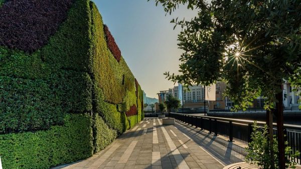 Middle East’s largest living green wall at Dubai Wharf.