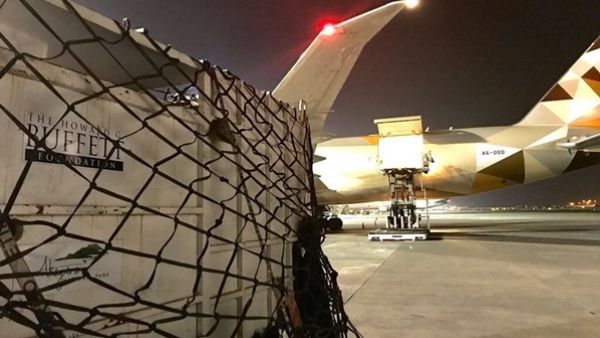 حيوانات وحيد القرن الأسود في حاويات خاصة في مطار جوهانسبرغ الدولي، بانتظار تحميلها على متن طائرة تابعة للاتحاد للشحن لبدء رحلتها التاريخية إلى روندا
