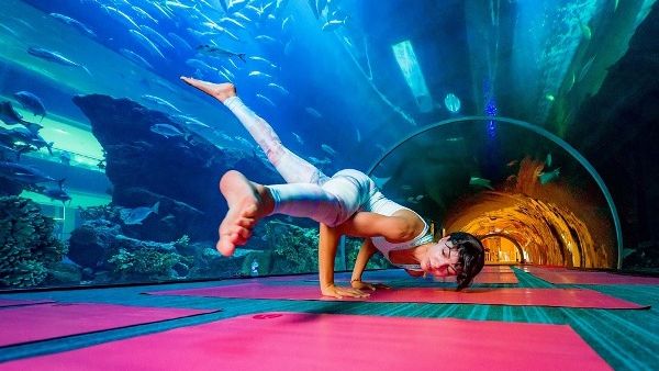 Open to the public, the Underwater Yoga Retreat will feature dedicated sessions that draw their theme from water. 