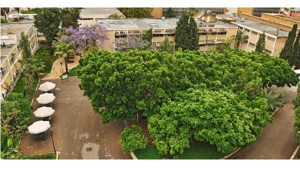 الجامعة الأميركية في بيروت الجامعة الأميركية في بيروت