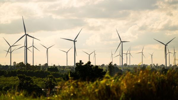 This year’s outlook is the first to highlight the huge impact that falling battery costs will have on the electricity mix over the coming decades. (Shutterstock)