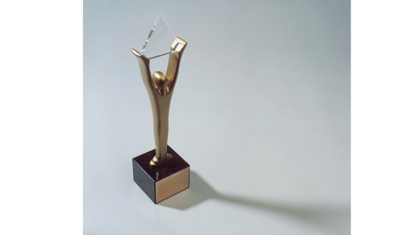 جائزة ستيفي برونزية Bronze Stevies