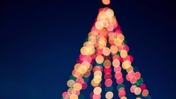 Be surrounded by family and friends and let the cool breeze of the season embrace you while indulging in hot chocolate, mince pies and Christmas cookies.