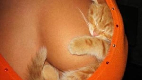 البس دفيان ع الاخر