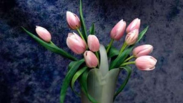 في الدرب نمت الزهور