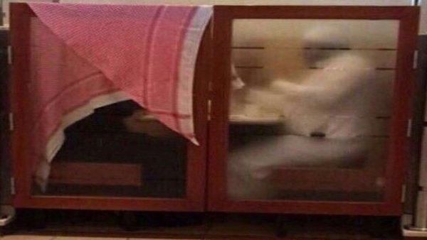 زوج يغطي زوجته بشماغه بمطعم