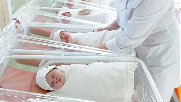 Babies in a maternity ward. (Shutterstock) Babies in a maternity ward. (Shutterstock)
