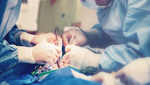 (Shutterstock/ File Photo)