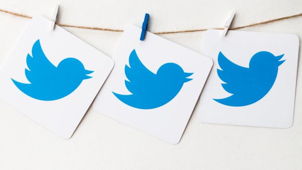 Logo of the well-known social network Twitter (Shutterstock)