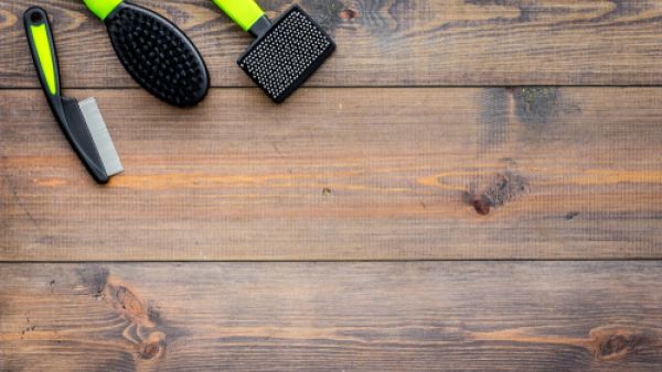 عليكِ أن تعرفي الفروق بين فرش الشعر المختلفة لتختاري الأنسب (shutterstock.com)
 عليكِ أن تعرفي الفروق بين فرش الشعر المختلفة لتختاري الأنسب (shutterstock.com)