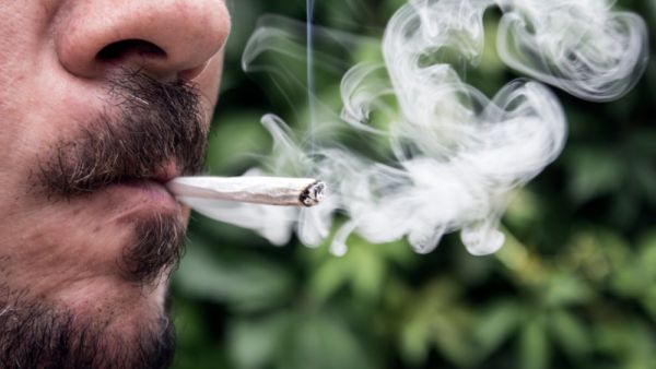 (Shutterstock/ File Photo)