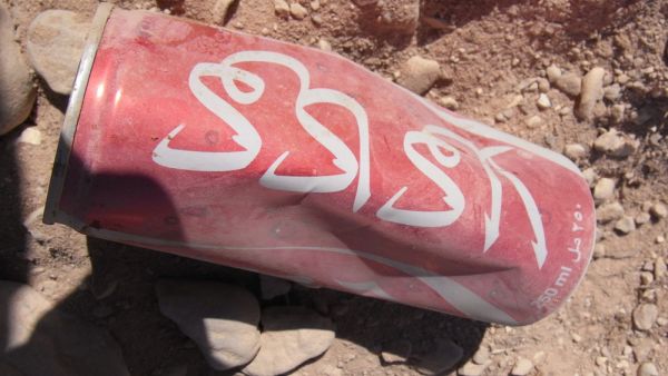 Empty Coca-cola can on the ground (Shutterstock)	
