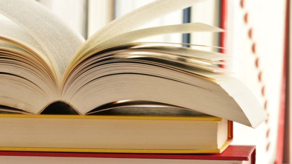 Children are not encouraged to read at home (Shutterstock/File)