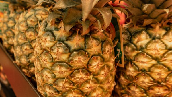 (Shutterstock/ File Photo)