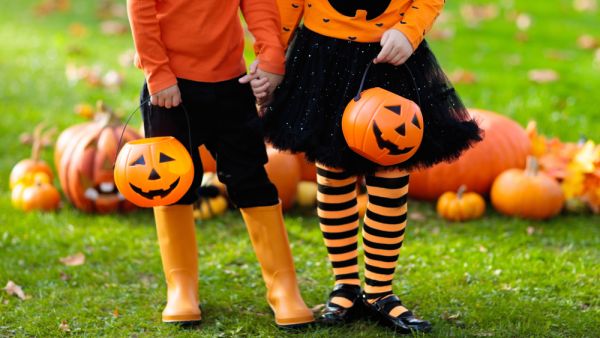 (Shutterstock/ File Photo)