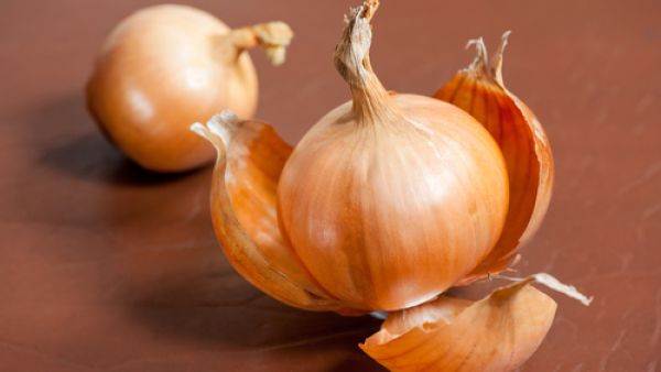 تتفوق قشور البصل على ثمارها من حيث خصائصها المضادة للأكسدة (shutterstock.com)
