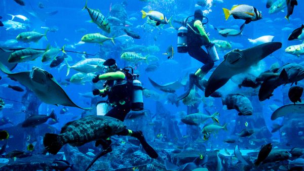 (Shutterstock/File Photo)