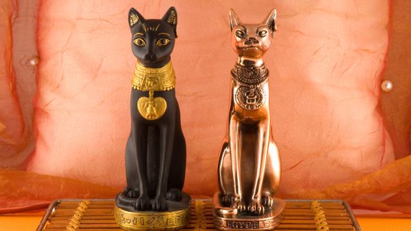 (Shutterstock/ File Photo)