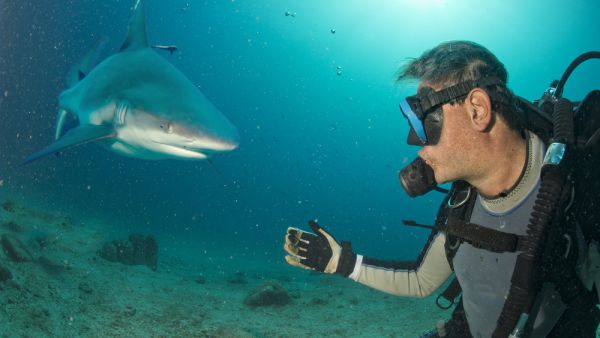 (Shutterstock/ File Photo)