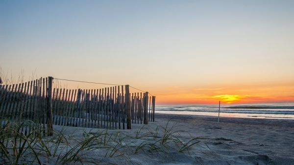 (Shutterstock/File Photo)