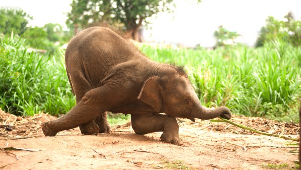 (Shutterstock/ File Photo)