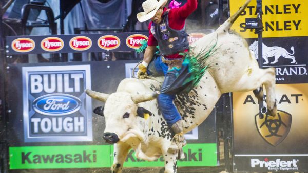 (Shutterstock/ File Photo)