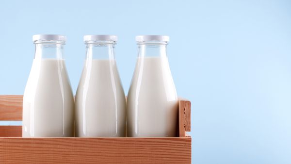 The mayor blamed poor childhood nutrition on rising numbers of LGBT people in Indonesia. (Shutterstock)