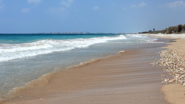 Her body was covered with sand, rocks and rubbish (Shutterstock/File)