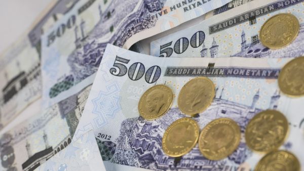 Excesses were also discovered in contracts with companies (Shutterstock/File)
