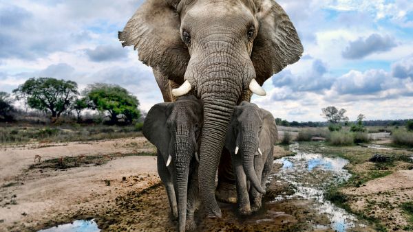 (Shutterstock/File Photo)