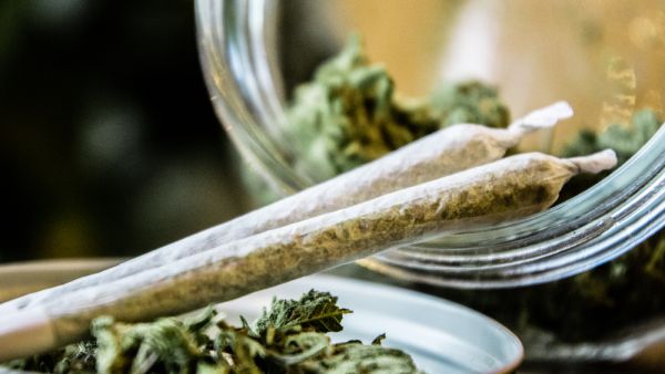 (Shutterstock/File Photo)