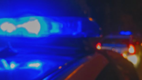 Locals have already petitioned for lighting for the 15km highway, which they say lacks basic safety measures, and is doubly treacherous due to the fact that camels stray on to the road (Shutterstock/File)