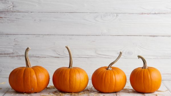 يعمل اليقطين كمضاد للأكسدة كما يحتوي على الفيتامينات الأساسية (shutterstock.com)
