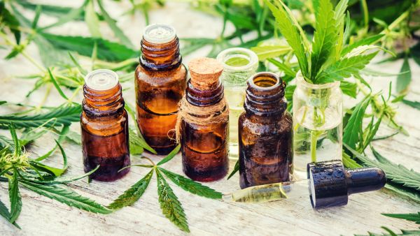 (Shutterstock/File Photo) (Shutterstock/File Photo)