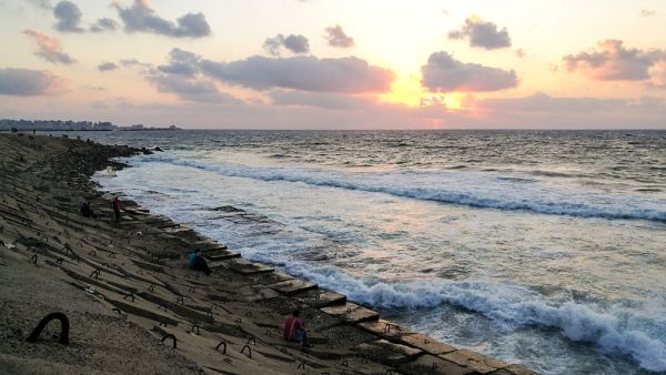 The whale may have committed suicide, a bizarre phenomenon which occurs for unknown reasons among whales (Shutterstock/File)