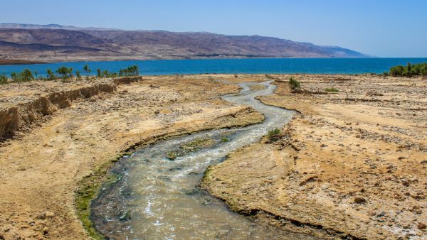 Dead Sea, Jordan River flowing to the Dead Sea (Shutterstock)