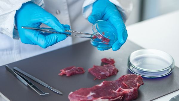 (Shutterstock/ File Photo)