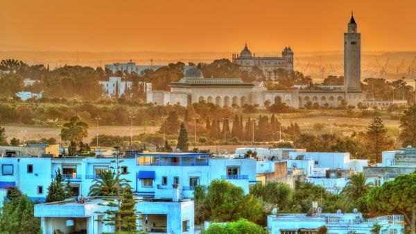 Carthage near Tunis in Tunisia (Shutterstock)