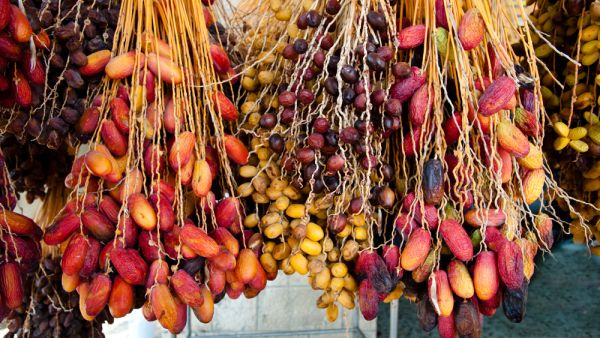 Fresh dates  (Shutterstock/File Photo)