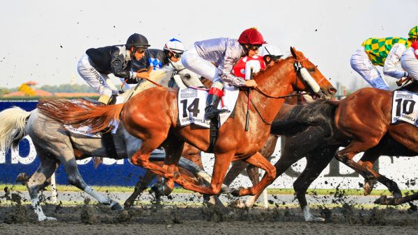 On March 30, 2019, the Dubai World Cup meeting is set to enhance its status as the world’s richest day of horse racing. (Shutterstock)