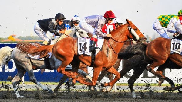 Dubai World Cup, DP World Tour Championship, Dubai Tour and Gov Games achieve 5-Star rating in fourth edition of innovative ranking system (Shutterstock)