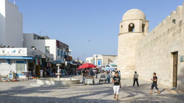 فائض الإنتاج في الموالح مشكلة تواجه الحكومة التونسية