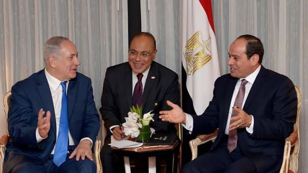السيسي