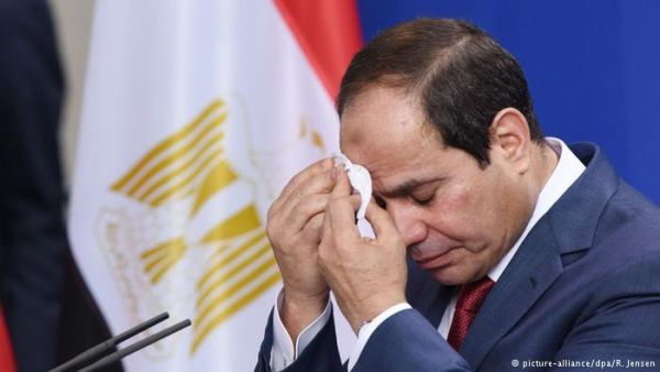 زعيم تويتر السيسي للبيع