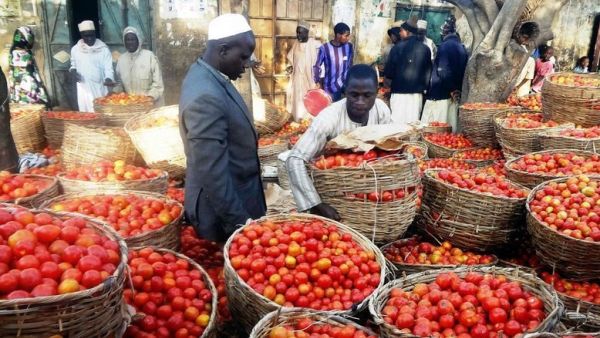 The largest contribution to the overall price rise came from the food and beverage group which has risen by over 52.8 percent. (AFP/ File) The largest contribution to the overall price rise came from the food and beverage group which has risen by over 52.8 percent. (AFP/ File)