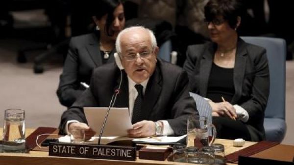 السفير الفلسطيني رياض منصور
