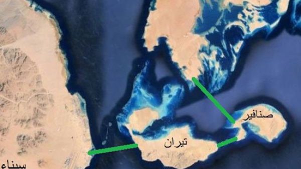 السجن عامين بحق 5 مصريين تظاهروا احتجاجًا على “تيران وصنافير”

