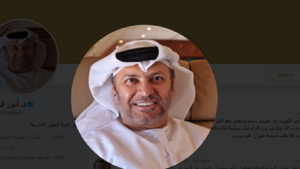 وزير الدولة الإماراتي للشؤون الخارجية أنور قرقاش